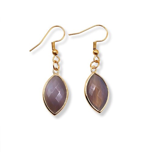 Botswana Agate Pendant Earrings